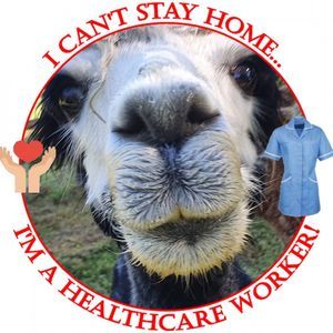 Meet your Posher, Renée